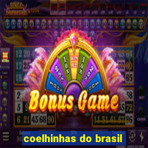 coelhinhas do brasil